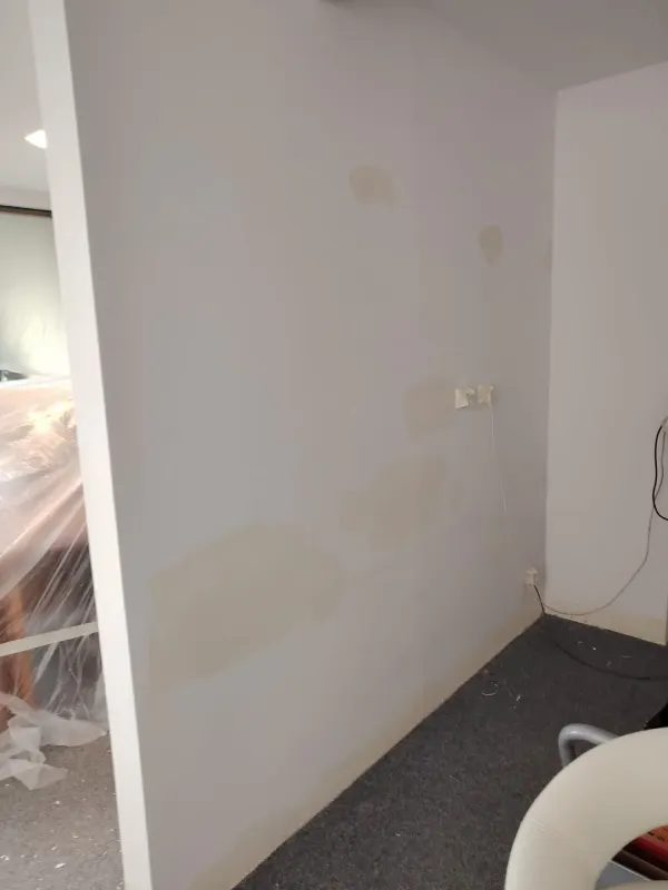 Výmaľba kancelárie, 100 m²